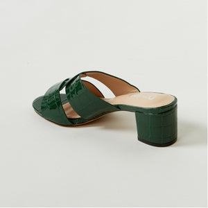 ZL015 Green
