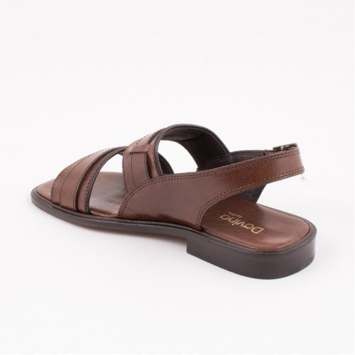 VM024 Brown