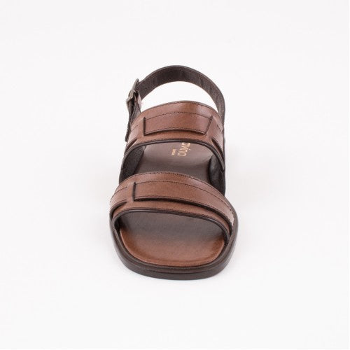 VM024 Brown