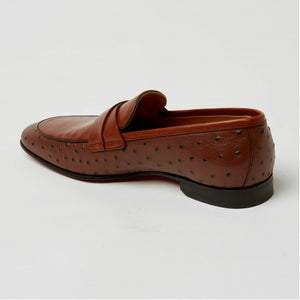 YM021 Brown